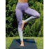 Ladies` Seamless Fade Out Leggings